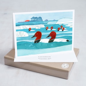 May include: A watercolor illustration of a flock of canvasback ducks swimming in a blue lake. The ducks have red heads and black bodies. The background is a snowy landscape with a sunset in the distance. The card reads "Canvasbacks" and "david scheirer ©2023".