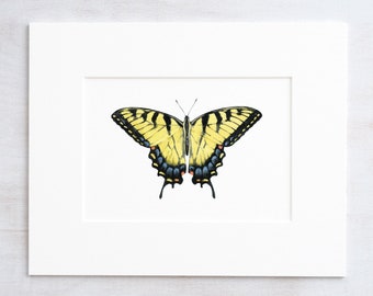 Swallowtail Butterfly Watercolor Print Eastern Tiger Swallowtail