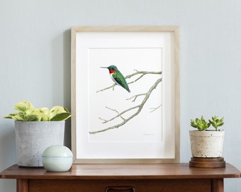 Ruby-throated Hummingbird Watercolor Print Bird Wall Art