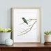 see more listings in the Watercolors: Birds section