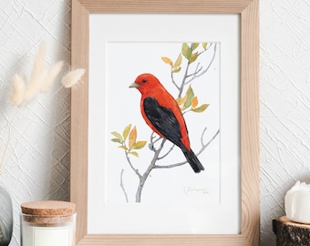 Scarlet Tanager Print Bird Watercolor Painting Print