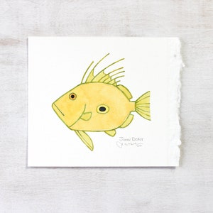 John Dory Fish Original Illustration Watercolor Painting