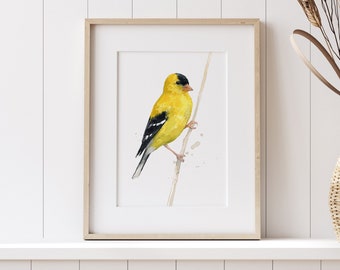 Goldfinch Watercolor Print Bird Painting Bird Watchers Gift