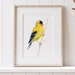 see more listings in the Watercolors: Birds section