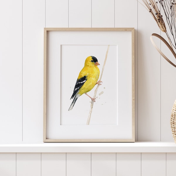 Goldfinch Watercolor Print Bird Painting Bird Watchers Gift