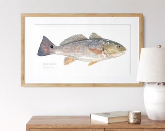 Red Drum Watercolor Print Puppy Drum Fish Painting Coast Decor