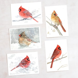 Cardinals Weihnachtskarten Set Winter Vögel im Schnee Urlaub Briefpapier Cardinal Watercolors