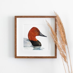 May include: A watercolor painting of a red-breasted merganser duck with a white head and neck. The duck is swimming in a body of water. The painting is framed in a brown wooden frame.
