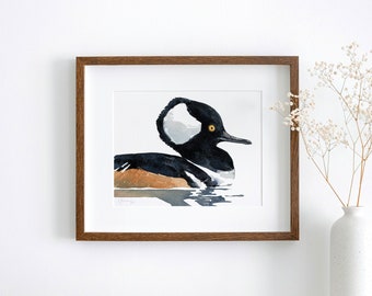 May include: A framed watercolor painting of a hooded merganser duck with a white head and black body, set against a white background.