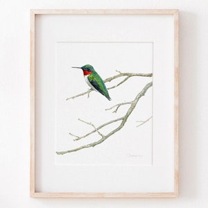 Ruby-throated Hummingbird Watercolor Print Bird Wall Art
