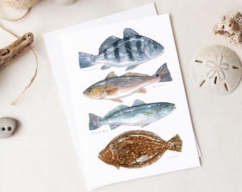 May include: A white card featuring watercolor illustrations of four different fish species: Black Drum, Red Drum, Speckled Trout, and Flounder. The fish are depicted in shades of blue, brown, and tan, with their names printed below each image. The card is placed on a white surface.