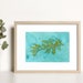 see more listings in the Illustrations: Ocean section