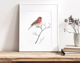 Watercolors: Birds