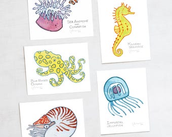 Sea Creatures Card Set Ocean Animal Cards