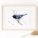 see more listings in the Watercolors: Birds section