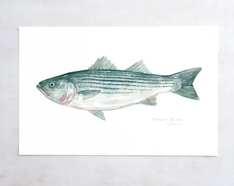 Denton pescado robalo Striper pescado grande 8 x 10 lámina náutica