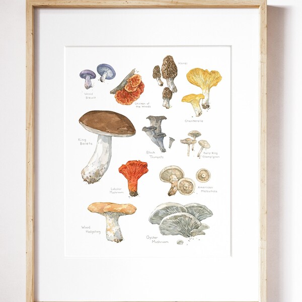 Edible Mushrooms Botanical Print Kitchen Wall Decor Woodland Plants Chart Mushroom Poster Woodland Watercolor Fungi Cottagecore Lover Gift