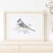 see more listings in the Watercolors: Birds section