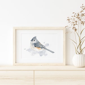 Tufted Titmouse Print Bird Watercolor Painting Bird Art Backyard Bird Painting Woodland Birding