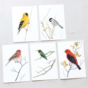 Jeu de cartes Oiseaux variés II Aquarelles d'oiseaux de basse-cour