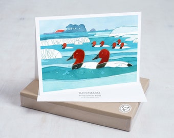 Canvasback Ducks Winter Holiday Card Set Coastal Holiday Cards