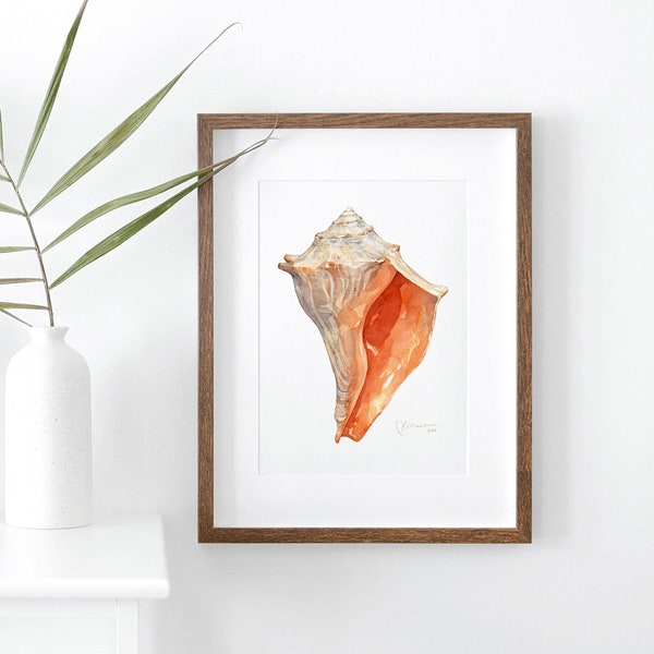 Orange Whelk Shell Watercolor Art Print Seashell Beach Decor Seashore Art