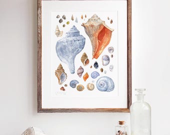 Seashells Watercolor Art Print: Coastal Beach House Decor