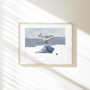 Sandpiper Watercolor Print: Beach Bird & Whelk Shell Wall Art