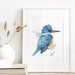 see more listings in the Watercolors: Birds section