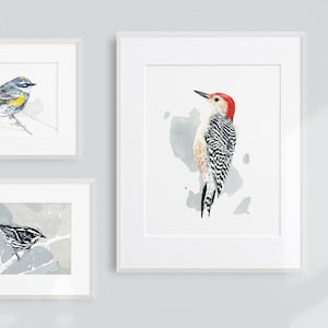 Red-bellied Woodpecker Print Watercolor Bird Painting Bird Wall Art image 3