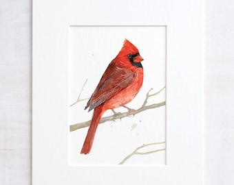 Red Male Cardinal Watercolor Print Bird Painting Birdwatcher Gift Birder Art