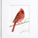 see more listings in the Watercolors: Birds section