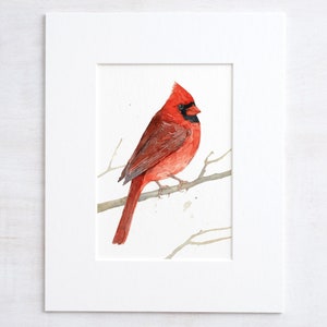 Red Male Cardinal Watercolor Print Bird Painting Birdwatcher Gift Birder Art