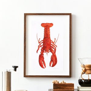 Red Lobster Watercolor Painting Print