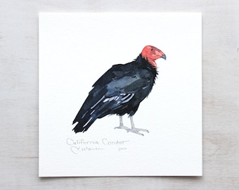 California Condor Print Vulture Bird Watercolor Wall Art Endangered Animal