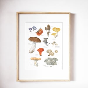Essbare Pilze Botanische Druck Küche Wand Dekor Wald Pflanzen Karte Pilz Poster Wald Aquarell Pilze Cottagecore Liebhaber Geschenk