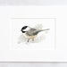 see more listings in the Watercolors: Birds section