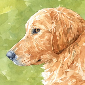 Golden Retriever Dog Print Watercolor 11x14 Limited Edition Print Dog Art Pet Portrait image 5