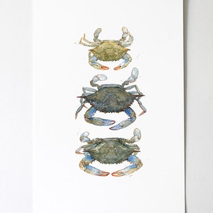 Blue Crabs Watercolor Painting Print Coastal Beach Art Seaside Decor Maryland Blue Crab image 9