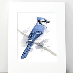 Blue Jay Print Bird Watercolor Painting Audubon Print - Etsy
