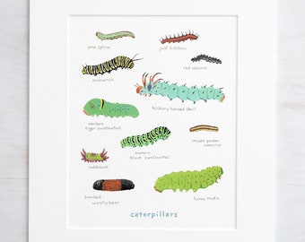 Caterpillars Print Colorful Children’s Art Print Nature Painting Kids Science Art