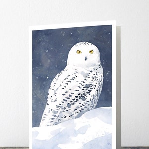 Carte de Noël Art d'oiseau d'hiver Carte de correspondance