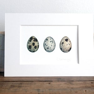 Quail Eggs Watercolor Art Print Modern Farmhouse Wall Art Rustic Decor