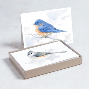 Bird Watercolor Card Set Mixed Bird Art Stationery Gift Bluebird Tufted Titmouse Barn Swallow Warbler Nuthatch Birder Gifts Mothers Day Gift