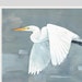 see more listings in the Watercolors: Birds section