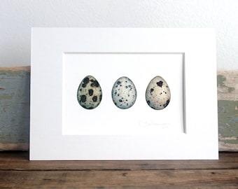 Quail Eggs Watercolor Art Print Modern Farmhouse Wall Art Rustic Decor