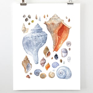 Seashells Watercolor Art Print: Coastal Beach House Decor