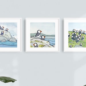 Puffins Illustration Print Set Three 5x5 Prints