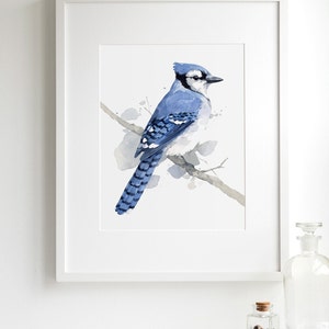 Blue Jay Print Bird Watercolor Painting Art Print image 2