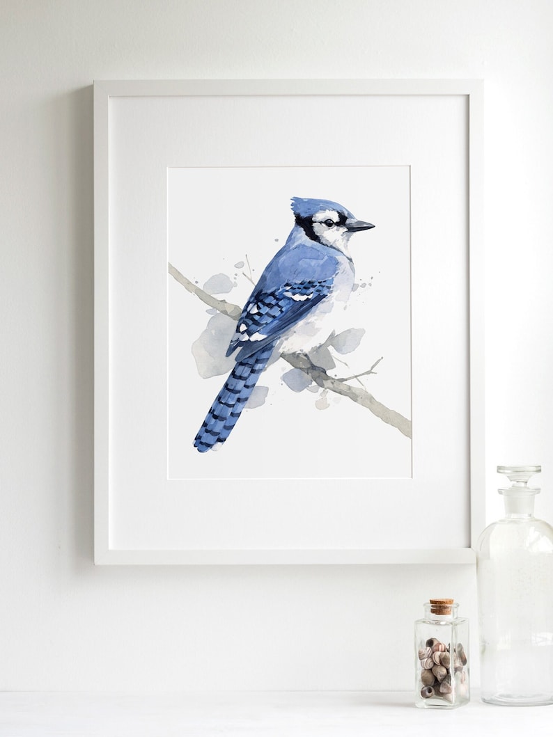 Blue Jay Print Bird Watercolor Painting Art Print image 2